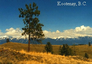 A Tour to Remember - Kootenay BC Canada
