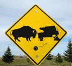 road caution sign - buffalo vs truck