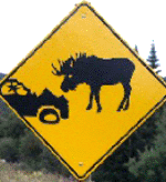 road caution sign - moose vs car