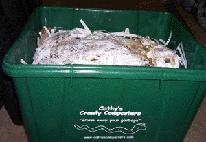 worm composting bin