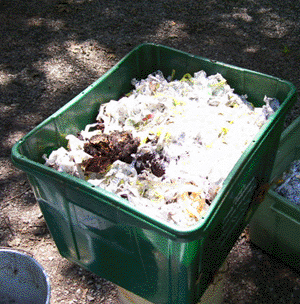 worm bin set up to compost again