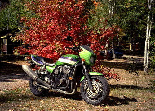 Kawasaki mighty ZRX1100 in Green - particularly attractive in contrast to autumn colours